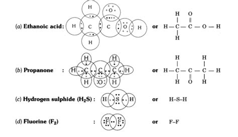 electron dot structure of ethanoic acid class 10|[Class 10] Draw the electron dot structure for (a) .